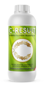 C-RESULT_1L-1-528x1024